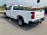 Used 2020 Chevrolet Silverado 1500 W/T w/ WT Fleet Convenience Package image 5