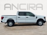 New 2025 Ford F150 XL image 3