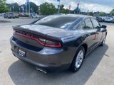 Used 2020 Dodge Charger SXT w/ Leather Interior Group image 3