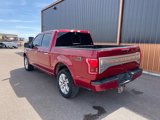 Used 2015 Ford F150 Platinum image 6