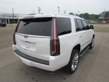 Used 2019 Cadillac Escalade Luxury w/ LPO, Radiant Package image 6