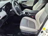 Certified 2019 Toyota RAV4 XLE Premium image 5