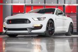 Used 2016 Ford Mustang Shelby GT350R w/ GT350R Equipment Group 920A image 2