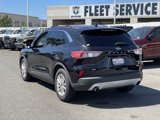 Used 2020 Ford Escape SE image 5
