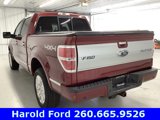 Used 2013 Ford F150 Platinum image 4