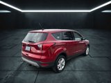 Used 2019 Ford Escape SE image 6