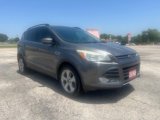 Used 2014 Ford Escape SE w/ Equipment Group 201A image 4