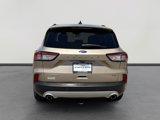 Used 2021 Ford Escape Titanium image 5