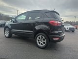 Used 2019 Ford EcoSport SE image 5
