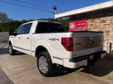 Used 2010 Ford F150 Platinum image 3