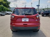 Used 2018 Ford Escape SEL w/ SEL Sport Appearance Package image 6