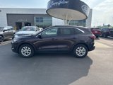 Used 2023 Ford Escape Active w/ Tech Pack #2 image 2