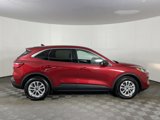 Used 2022 Ford Escape SE w/ Convenience Package image 5