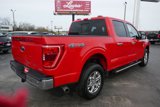 Used 2023 Ford F150 XLT w/ Equipment Group 302A High image 5