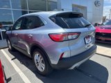 Used 2022 Ford Escape SE w/ Convenience Package image 5