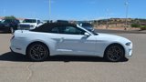 Used 2023 Ford Mustang Premium image 2