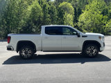 Used 2021 GMC Sierra 1500 AT4 image 5