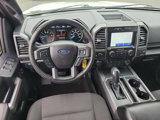 Used 2019 Ford F150 XLT w/ Equipment Group 302A Luxury image 4