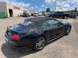 Used 2016 Ford Mustang Premium image 5