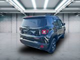 Used 2020 Jeep Renegade Trailhawk w/ Premium Leather Group image 6