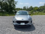 Used 2022 Ford Escape SE w/ Convenience Package image 2
