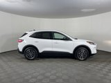 Used 2022 Ford Escape SE w/ Convenience Package image 5