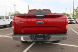 Used 2016 Ford F150 XLT w/ Equipment Group 302A Luxury image 4