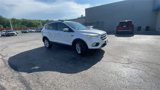 Used 2017 Ford Escape SE w/ SE Leather Comfort Package image 3