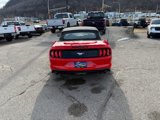 Used 2019 Ford Mustang Premium w/ Equipment Group 201A image 6