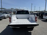 Used 2020 Ford F150 XL w/ Equipment Group 101A Mid image 5