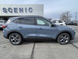 New 2025 Ford Escape ST-Line w/ Tech Pack #1 image 4