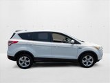Used 2014 Ford Escape SE image 4