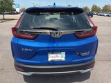 Used 2022 Honda CR-V Special Edition image 4
