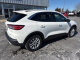 Used 2022 Ford Escape SE w/ Convenience Package image 3