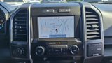 Used 2019 Ford F150 XLT w/ Equipment Group 302A Luxury image 4