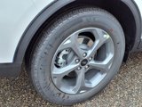 New 2025 Ford Escape ST-Line Elite image 5