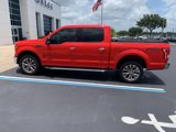 Certified 2016 Ford F150 XLT w/ Equipment Group 302A Luxury image 5