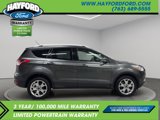 Used 2016 Ford Escape Titanium image 6