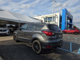 Used 2019 Ford Escape Titanium image 4