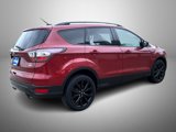 Used 2017 Ford Escape SE w/ Equipment Group 201A image 5