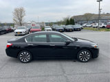 Used 2014 Honda Accord EX-L image 5