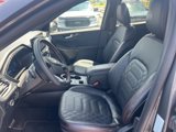 Used 2023 Ford Escape ST-Line Elite w/ Premium Technology Package image 3
