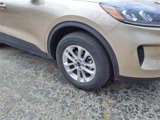 Used 2020 Ford Escape SE image 4
