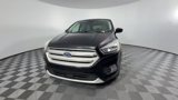 Used 2019 Ford Escape SE image 4