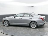 New 2025 Cadillac CT4 Premium Luxury image 6
