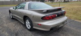 Used 2001 Pontiac Firebird Formula w/ Protection Group image 6