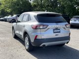 Used 2020 Ford Escape SE image 5
