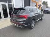 Used 2021 Hyundai Santa Fe SEL w/ Convenience + Premium Package image 6