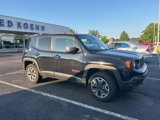 Used 2016 Jeep Renegade Trailhawk image 2