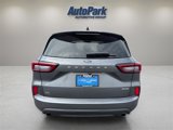 Used 2024 Ford Escape ST-Line image 5